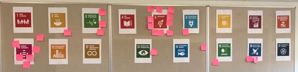 gemensam kartläggning 2.jpg